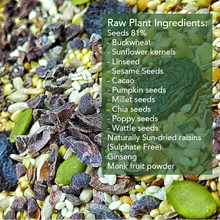 Load image into Gallery viewer, No. 1 GUT HEALTH - Cacao seed mix
